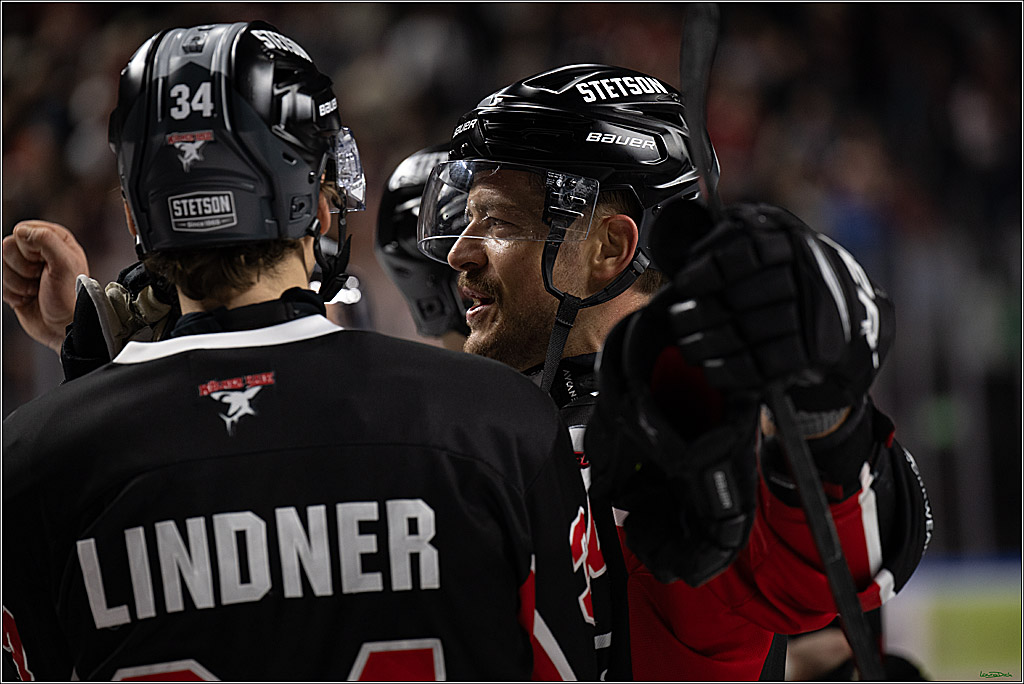 PENNY DEL; Koelner Haie-Nuernberger Ice Tigers; Koeln, 26.11.2024