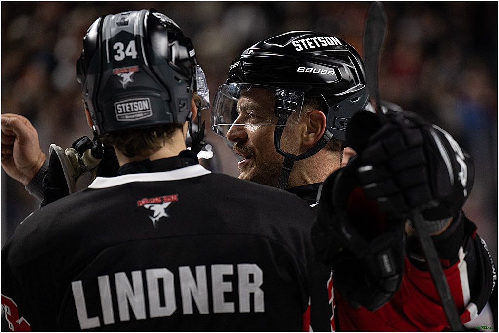 PENNY DEL; Koelner Haie-Nuernberger Ice Tigers; Koeln, 26.11.2024