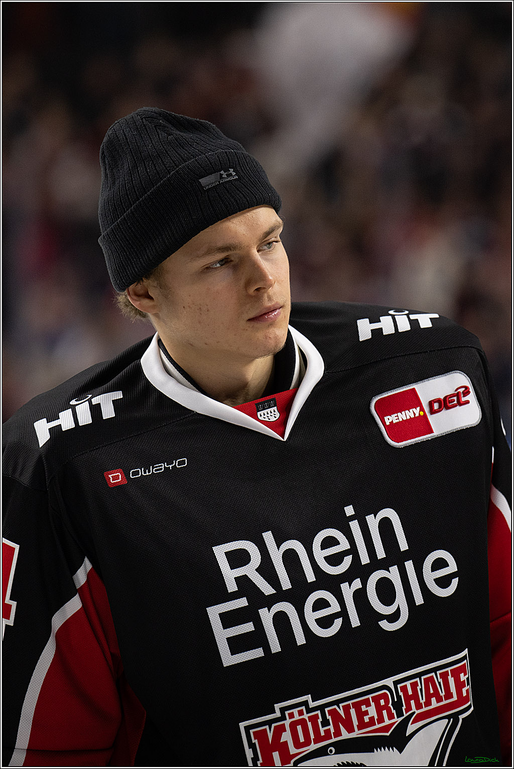 PENNY DEL; Koelner Haie-Nuernberger Ice Tigers; Koeln, 26.11.2024