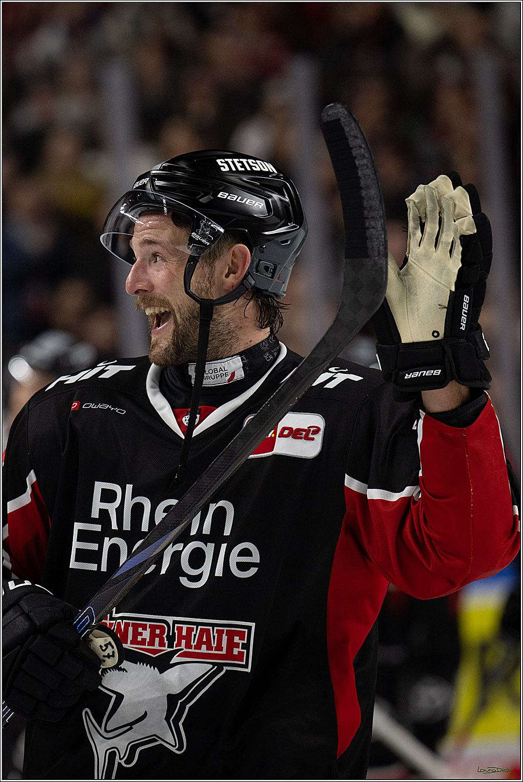 PENNY DEL; Koelner Haie-Nuernberger Ice Tigers; Koeln, 26.11.2024