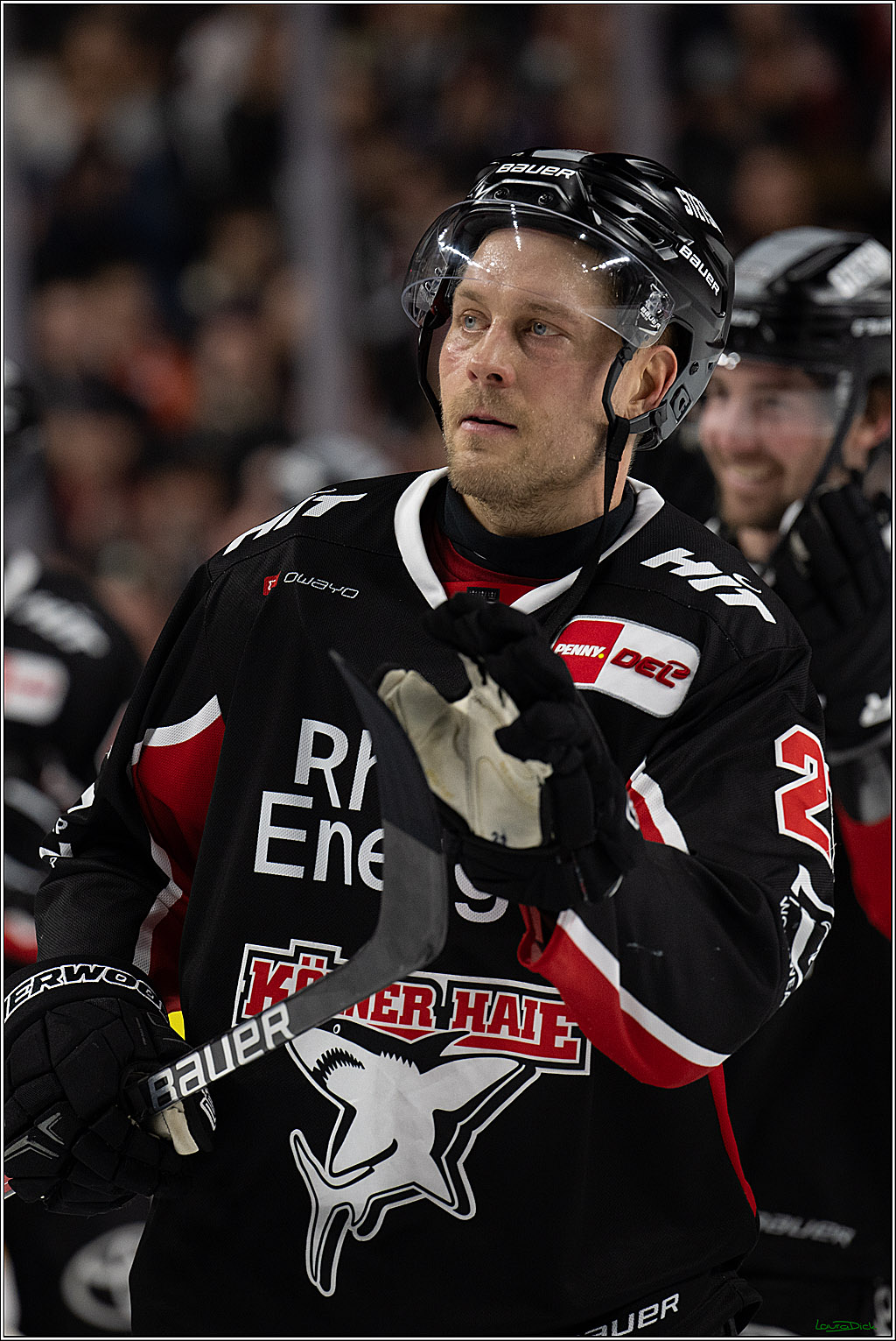 PENNY DEL; Koelner Haie-Nuernberger Ice Tigers; Koeln, 26.11.2024