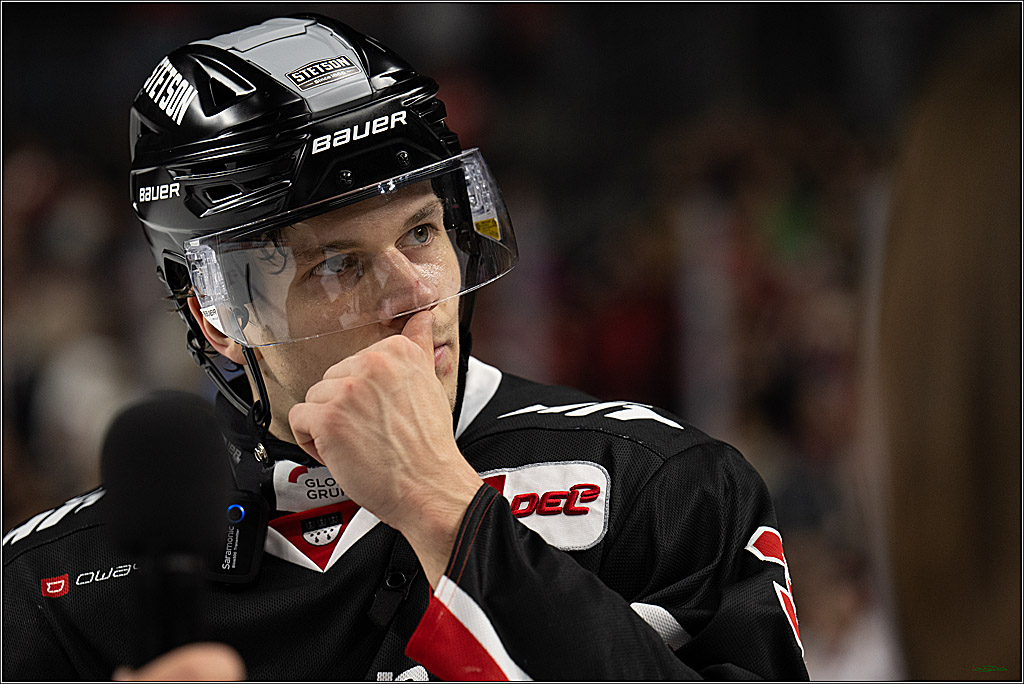 PENNY DEL; Koelner Haie-Nuernberger Ice Tigers; Koeln, 26.11.2024