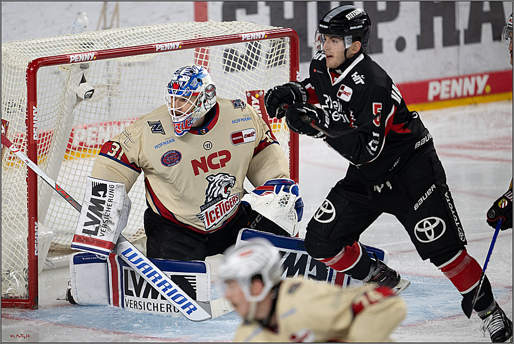 PENNY DEL 1; Kölner Haie - Nürnberger Ice Tigers; Köln, 26.11.2024