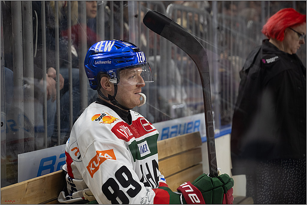 PENNY DEL 1; Kölner Haie - Augsburger Panther; Köln, 08.12.2024