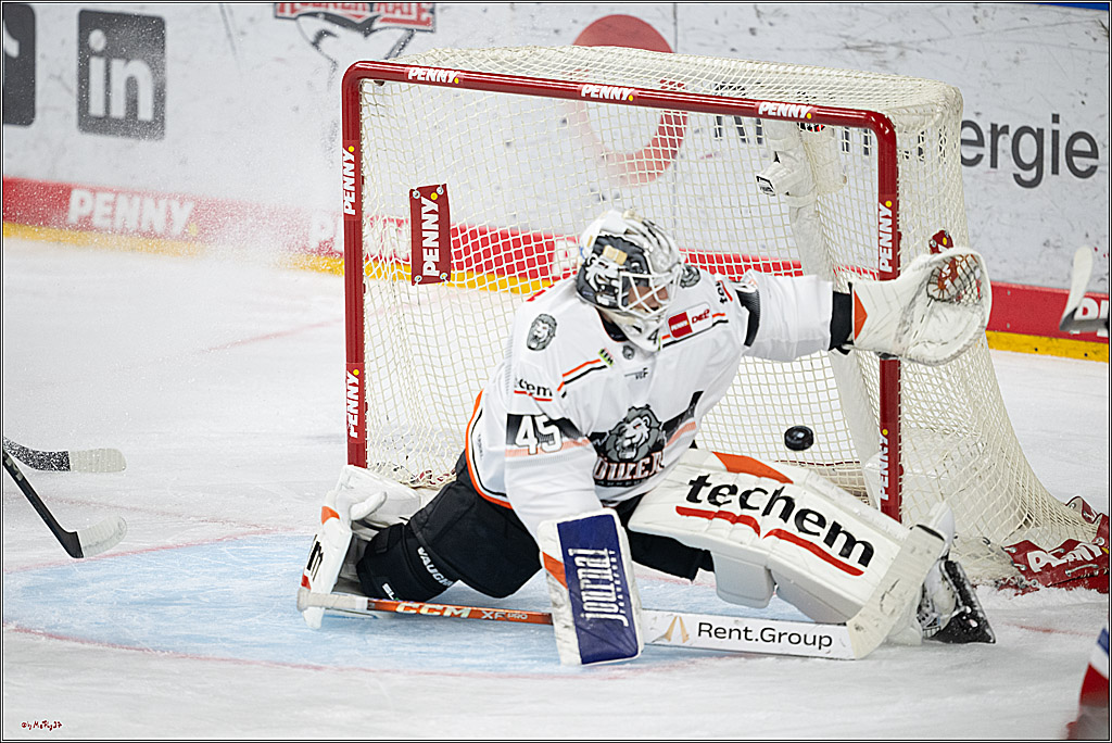 PENNY DEL 1; Kölner Haie - Löwen Frankfurt; Köln, 15.12.2024