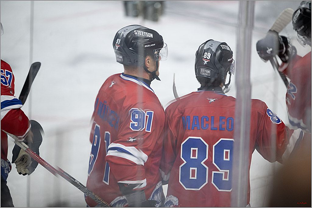 PENNY DEL 1; Kölner Haie - Löwen Frankfurt; Köln, 15.12.2024