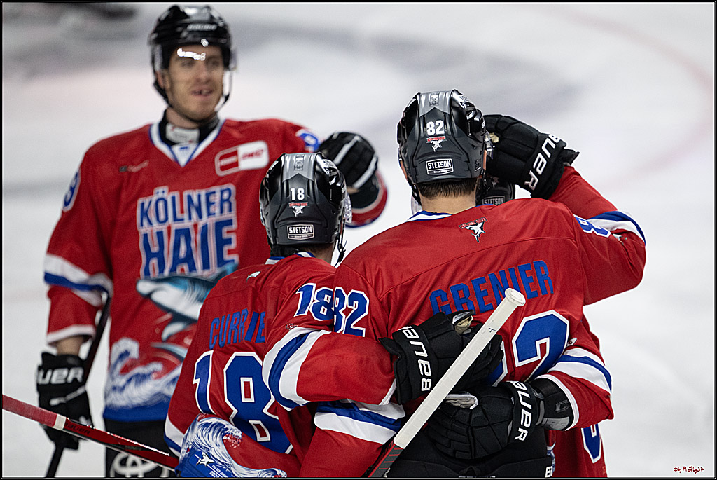 PENNY DEL 1; Kölner Haie - Löwen Frankfurt; Köln, 15.12.2024