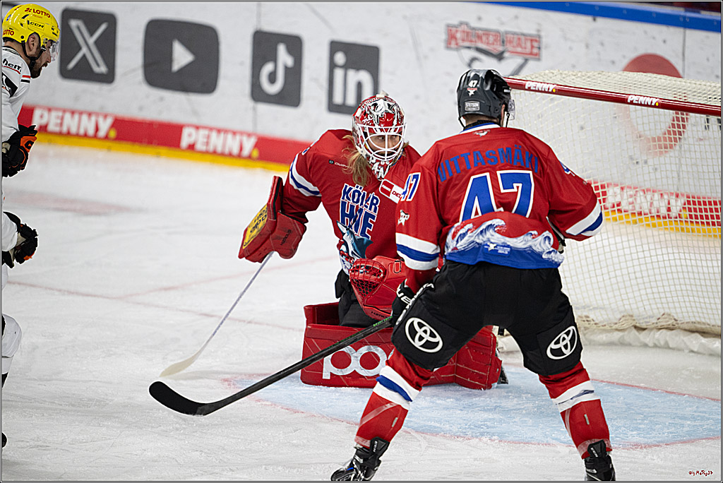 PENNY DEL 1; Kölner Haie - Löwen Frankfurt; Köln, 15.12.2024