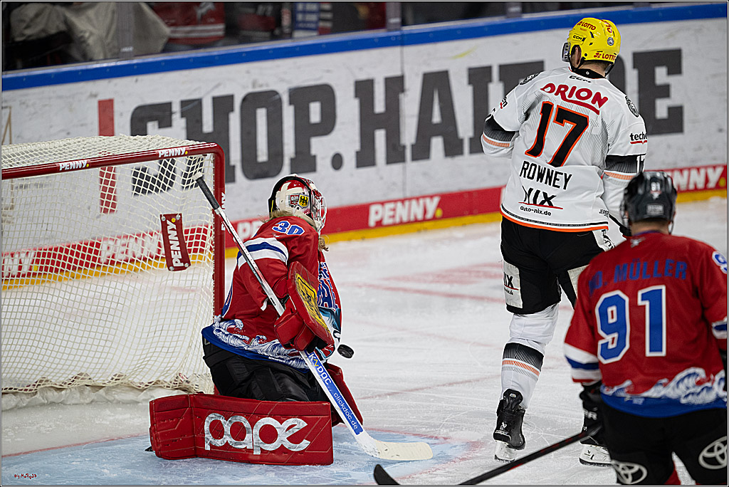 PENNY DEL 1; Kölner Haie - Löwen Frankfurt; Köln, 15.12.2024
