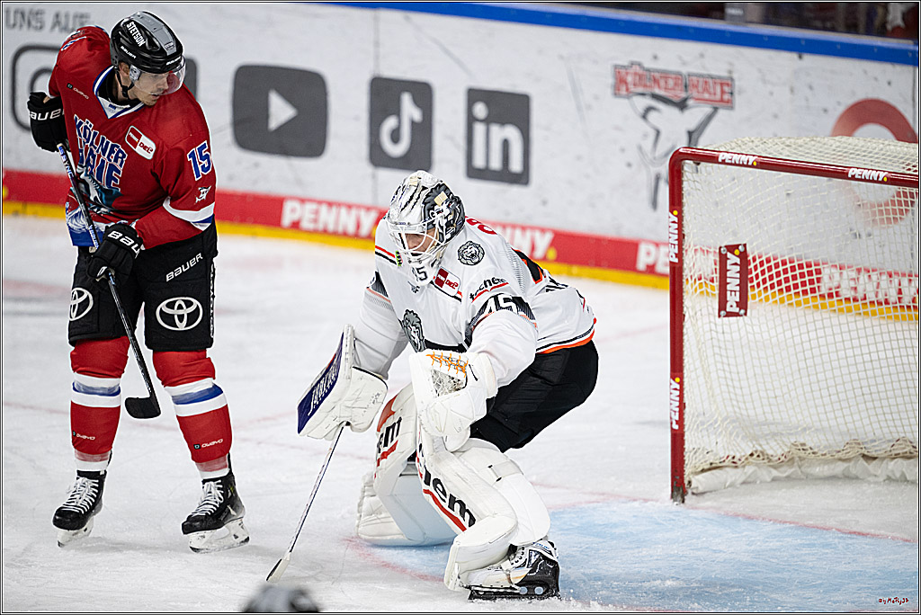 PENNY DEL 1; Kölner Haie - Löwen Frankfurt; Köln, 15.12.2024