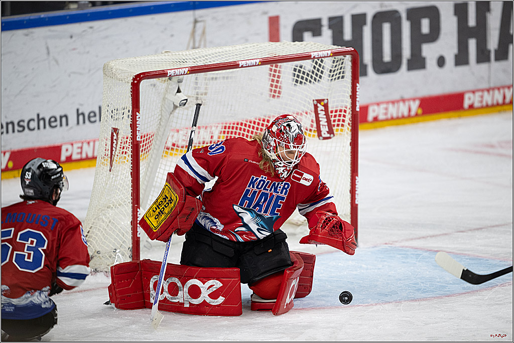 PENNY DEL 1; Kölner Haie - Löwen Frankfurt; Köln, 15.12.2024