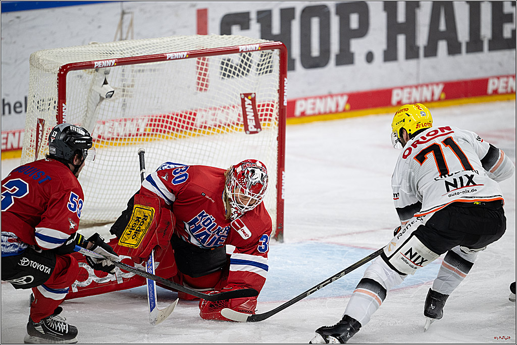 PENNY DEL 1; Kölner Haie - Löwen Frankfurt; Köln, 15.12.2024