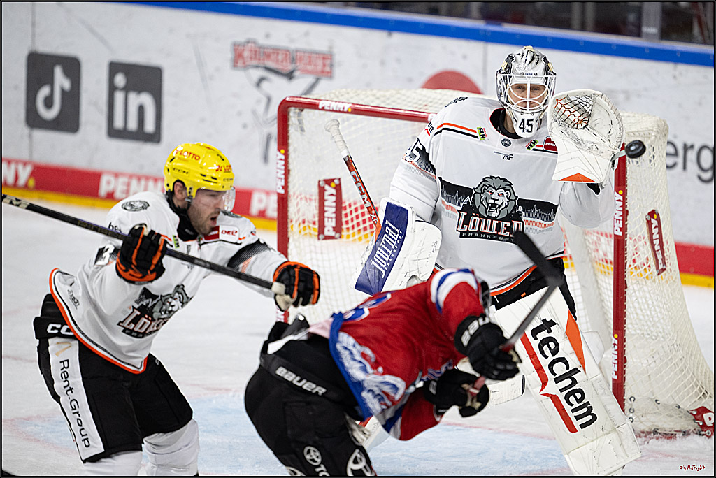 PENNY DEL 1; Kölner Haie - Löwen Frankfurt; Köln, 15.12.2024
