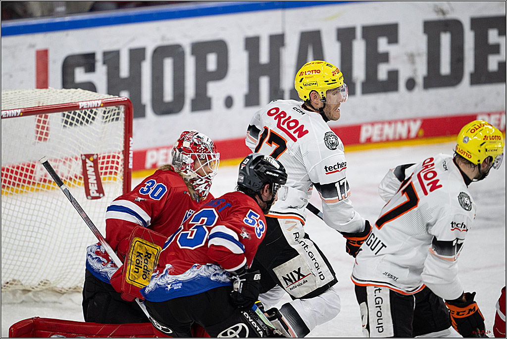 PENNY DEL 1; Kölner Haie - Löwen Frankfurt; Köln, 15.12.2024