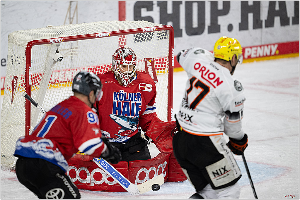 PENNY DEL 1; Kölner Haie - Löwen Frankfurt; Köln, 15.12.2024