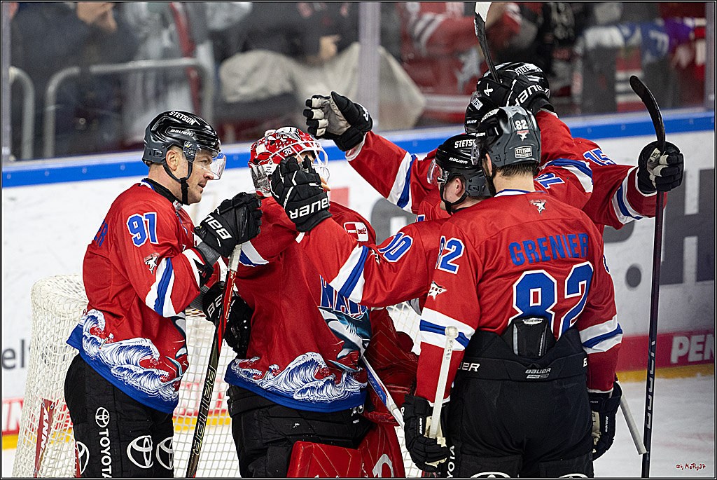 PENNY DEL 1; Kölner Haie - Löwen Frankfurt; Köln, 15.12.2024