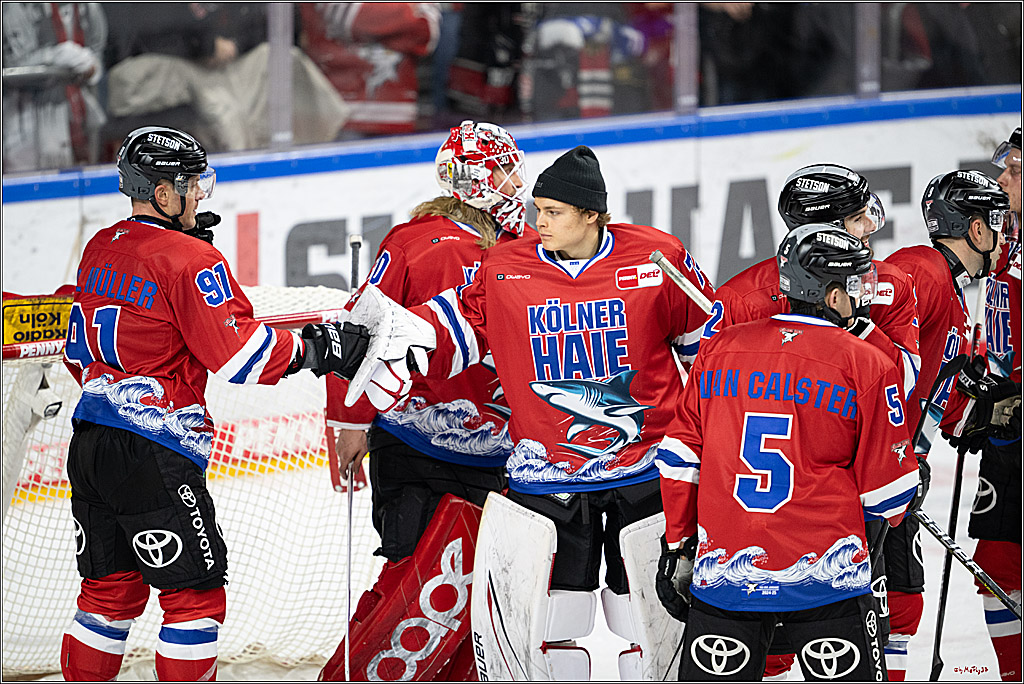 PENNY DEL 1; Kölner Haie - Löwen Frankfurt; Köln, 15.12.2024