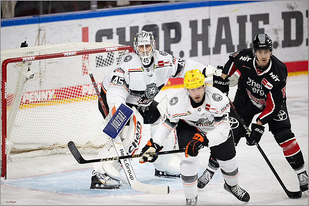 PENNY DEL 1; Kölner Haie - Löwen Frankfurt; Köln, 30.12.2024