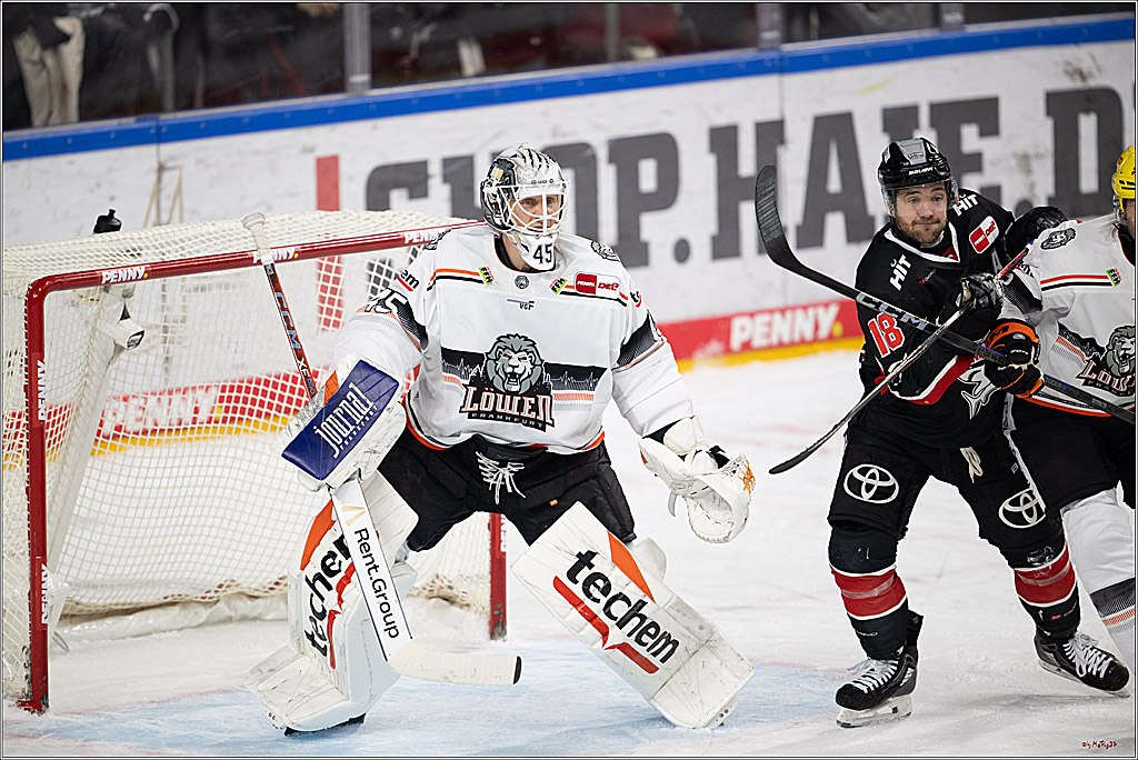 PENNY DEL 1; Kölner Haie - Löwen Frankfurt; Köln, 30.12.2024