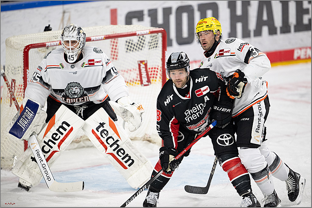 PENNY DEL 1; Kölner Haie - Löwen Frankfurt; Köln, 30.12.2024