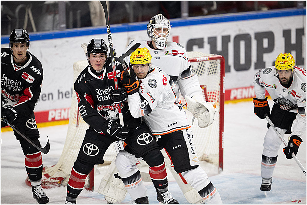 PENNY DEL 1; Kölner Haie - Löwen Frankfurt; Köln, 30.12.2024