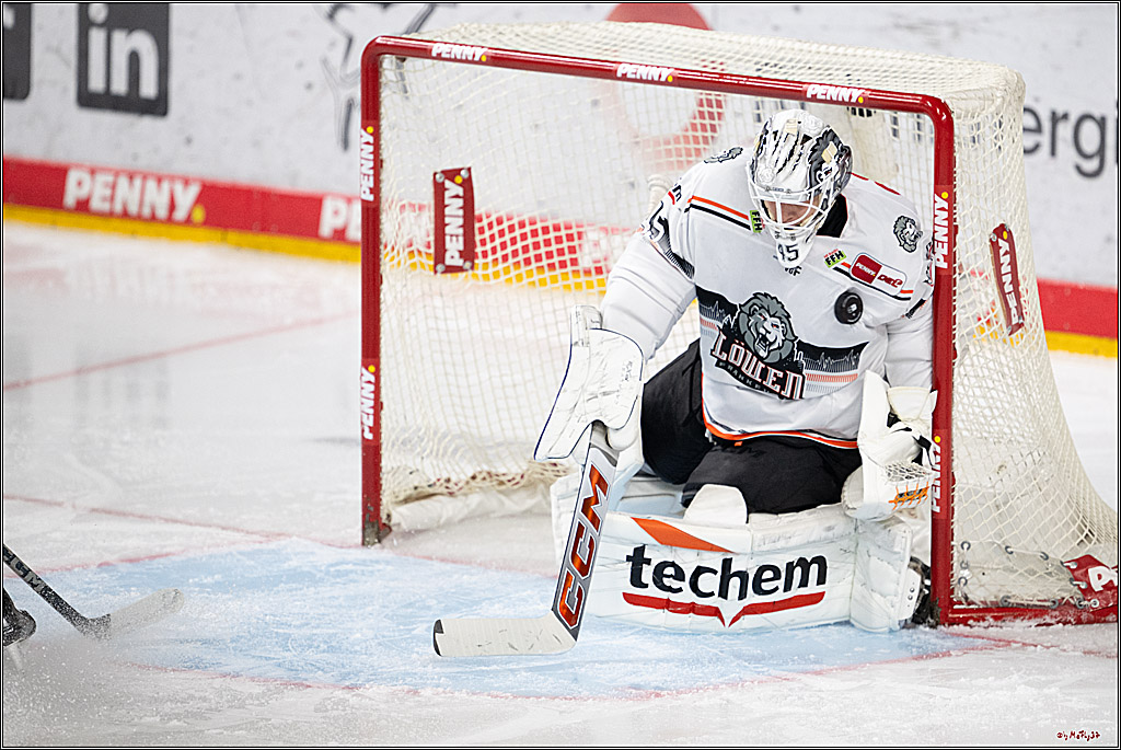 PENNY DEL 1; Kölner Haie - Löwen Frankfurt; Köln, 30.12.2024