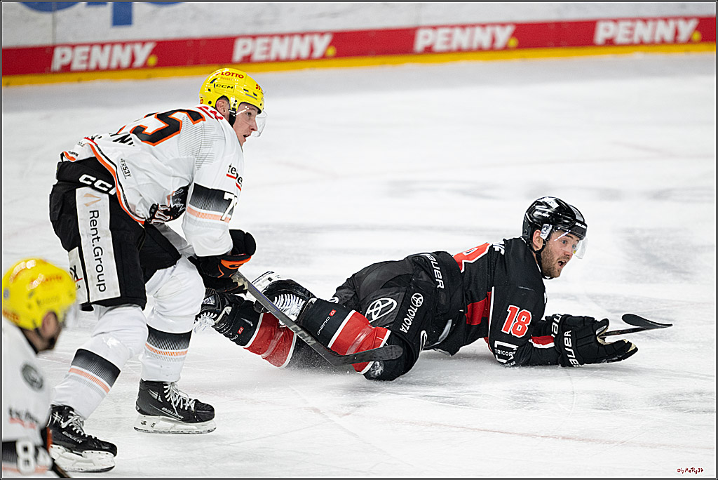 PENNY DEL 1; Kölner Haie - Löwen Frankfurt; Köln, 30.12.2024