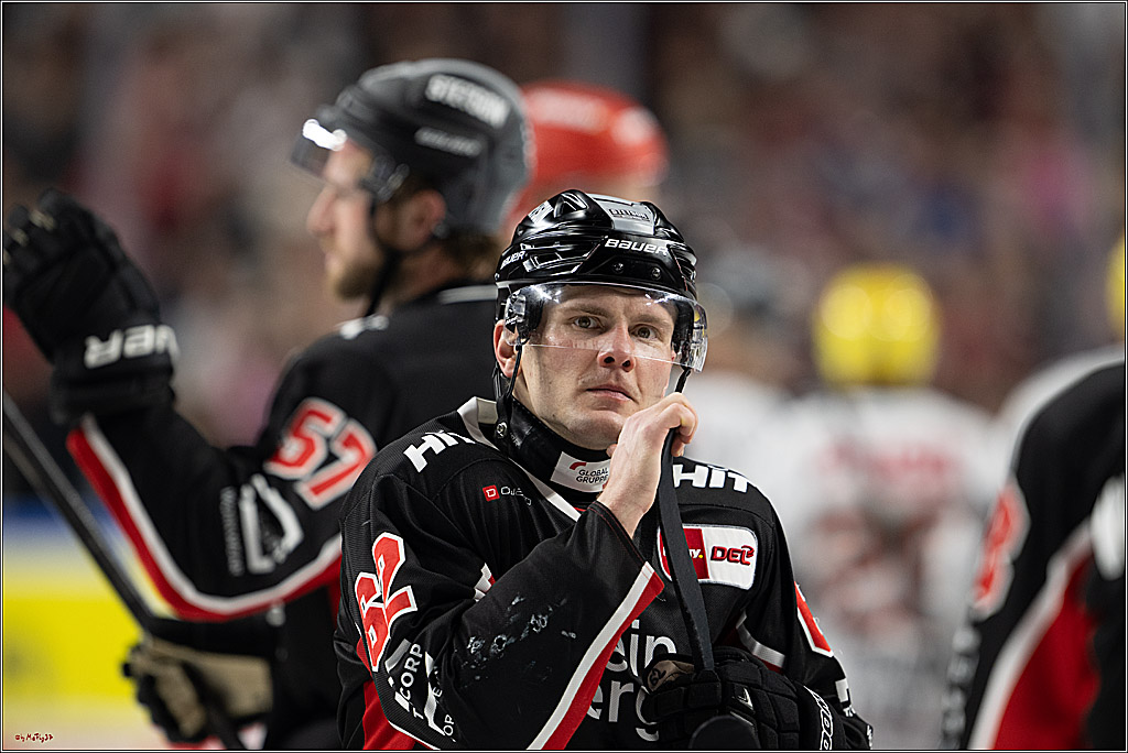 PENNY DEL 1; Kölner Haie - Löwen Frankfurt; Köln, 30.12.2024