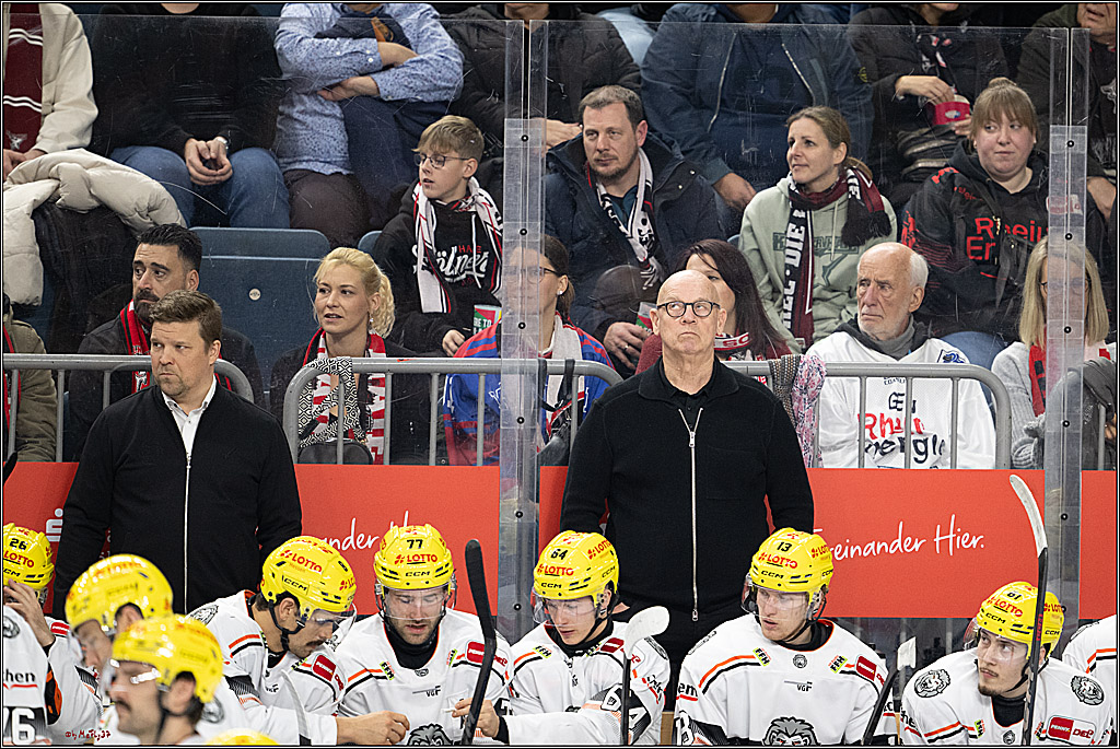 PENNY DEL 1; Kölner Haie - Löwen Frankfurt; Köln, 30.12.2024