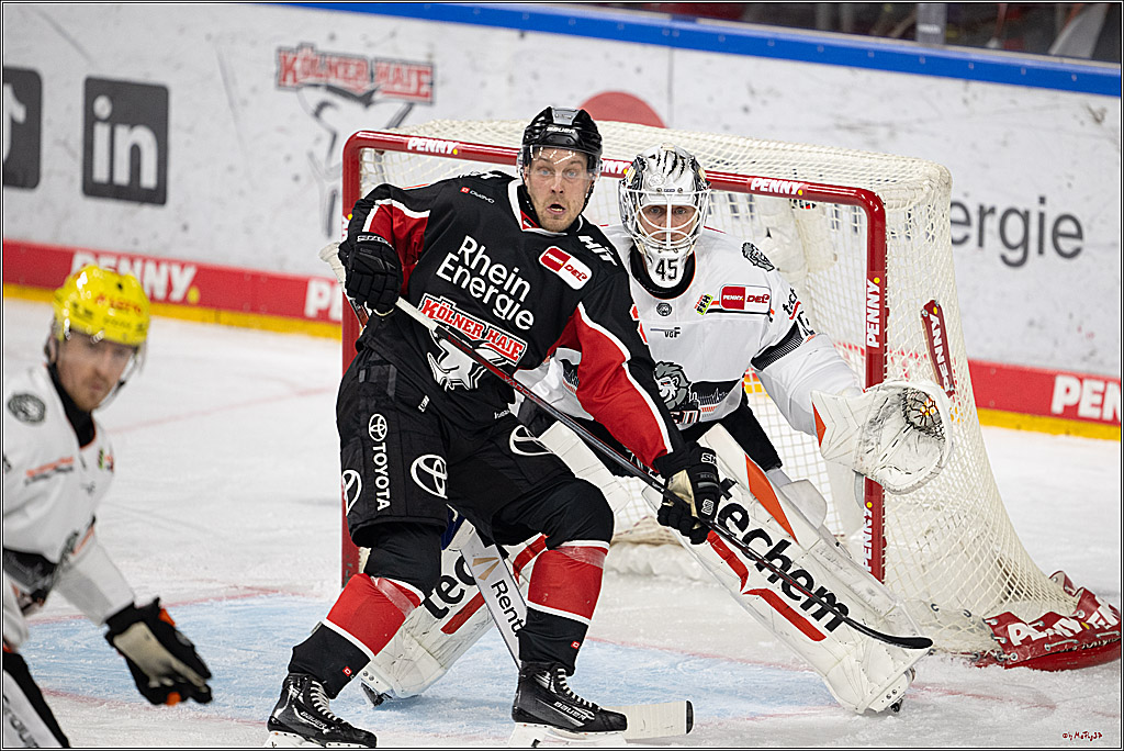 PENNY DEL 1; Kölner Haie - Löwen Frankfurt; Köln, 30.12.2024