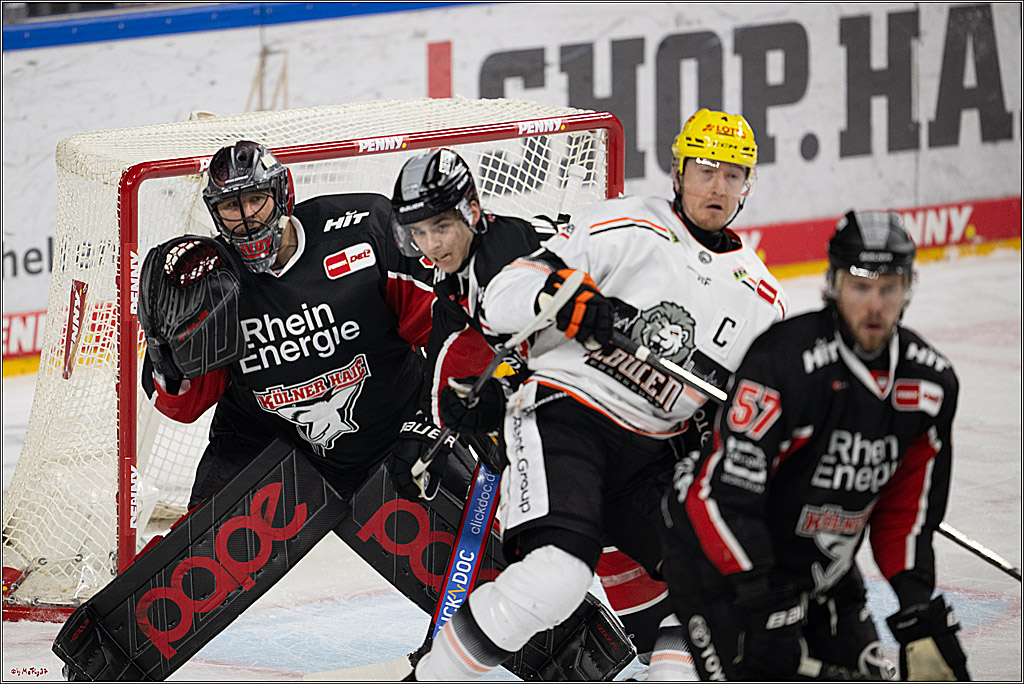 PENNY DEL 1; Kölner Haie - Löwen Frankfurt; Köln, 30.12.2024