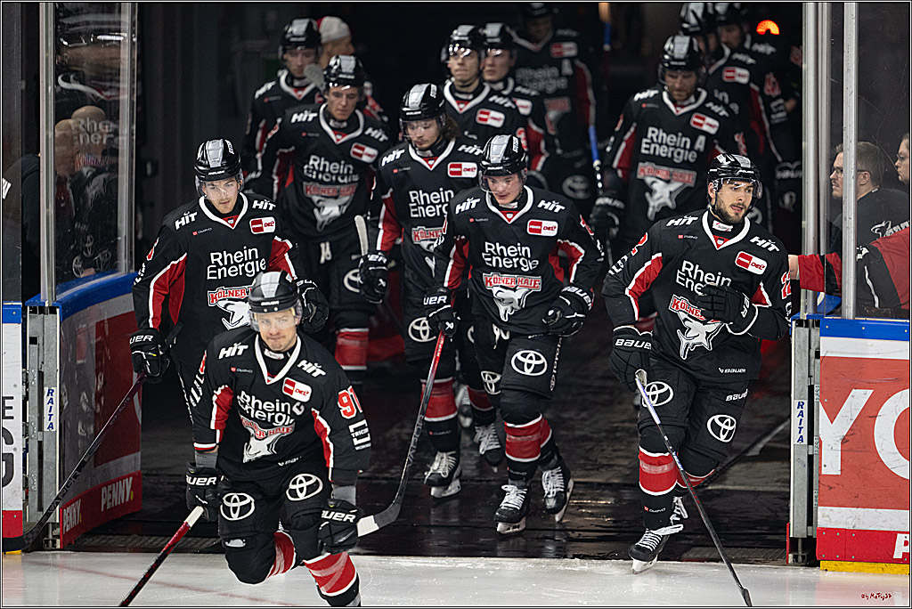 PENNY DEL 1; Kölner Haie - Löwen Frankfurt; Köln, 30.12.2024