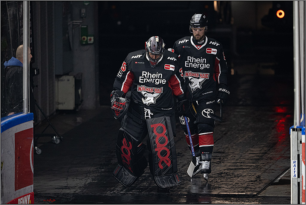 PENNY DEL 1; Kölner Haie - Löwen Frankfurt; Köln, 30.12.2024