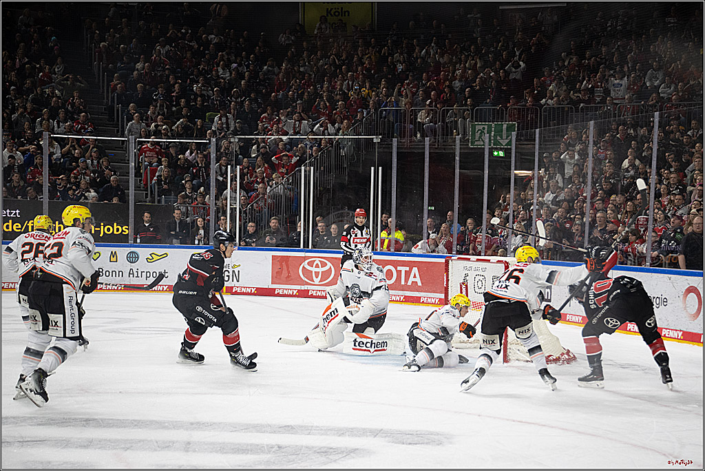 PENNY DEL 1; Kölner Haie - Löwen Frankfurt; Köln, 30.12.2024