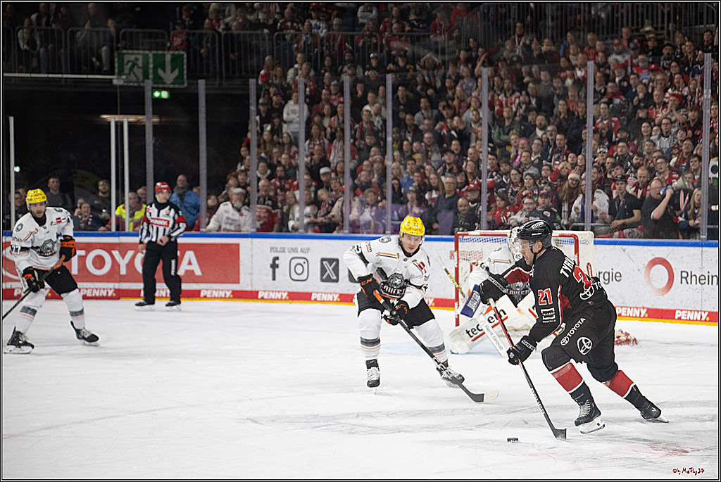 PENNY DEL 1; Kölner Haie - Löwen Frankfurt; Köln, 30.12.2024