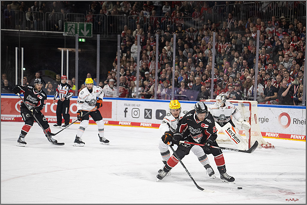 PENNY DEL 1; Kölner Haie - Löwen Frankfurt; Köln, 30.12.2024