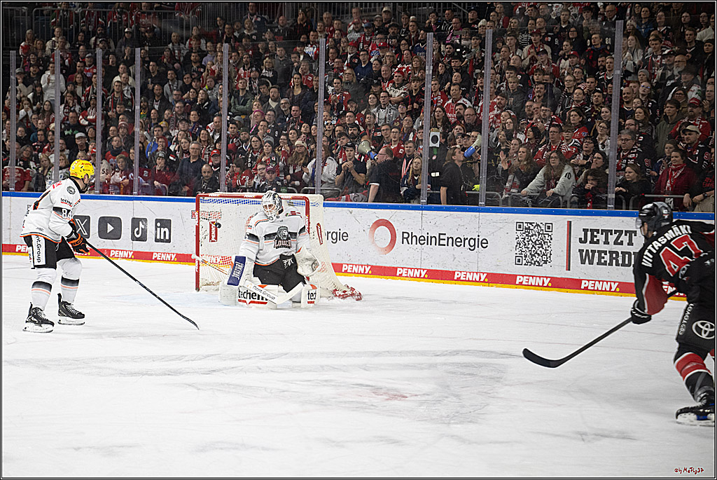 PENNY DEL 1; Kölner Haie - Löwen Frankfurt; Köln, 30.12.2024