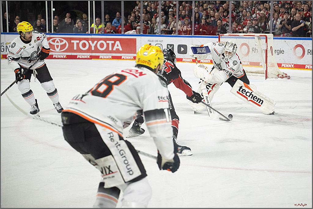 PENNY DEL 1; Kölner Haie - Löwen Frankfurt; Köln, 30.12.2024