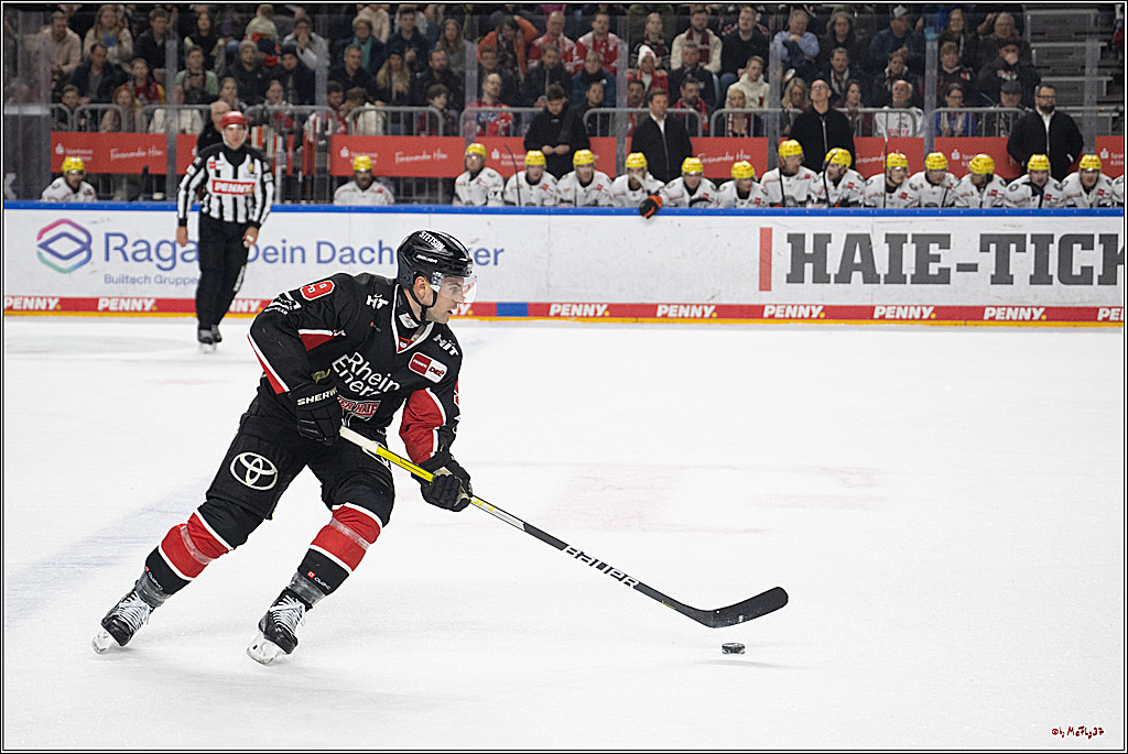 PENNY DEL 1; Kölner Haie - Löwen Frankfurt; Köln, 30.12.2024