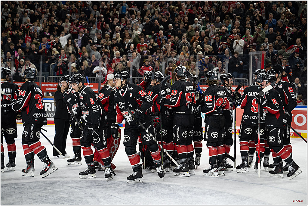 PENNY DEL 1; Kölner Haie - Löwen Frankfurt; Köln, 30.12.2024