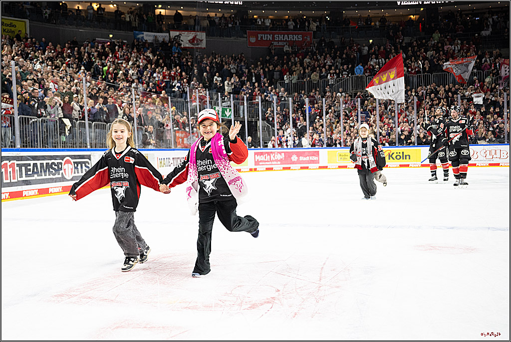 PENNY DEL 1; Kölner Haie - Löwen Frankfurt; Köln, 30.12.2024