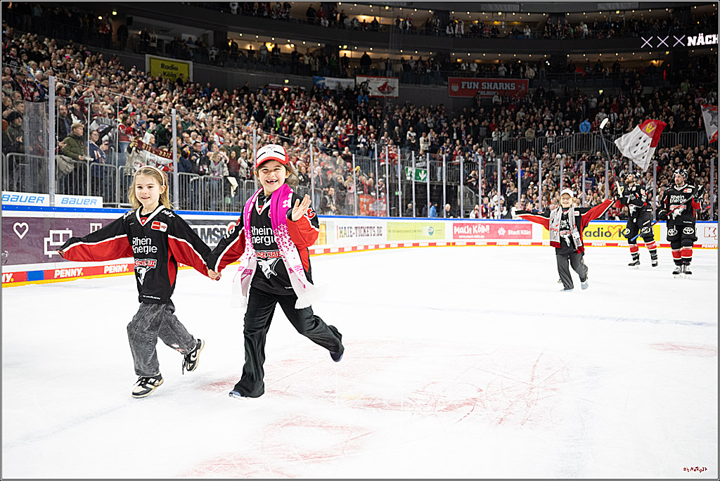 PENNY DEL 1; Kölner Haie - Löwen Frankfurt; Köln, 30.12.2024