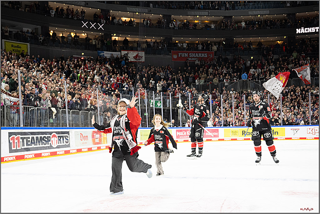PENNY DEL 1; Kölner Haie - Löwen Frankfurt; Köln, 30.12.2024