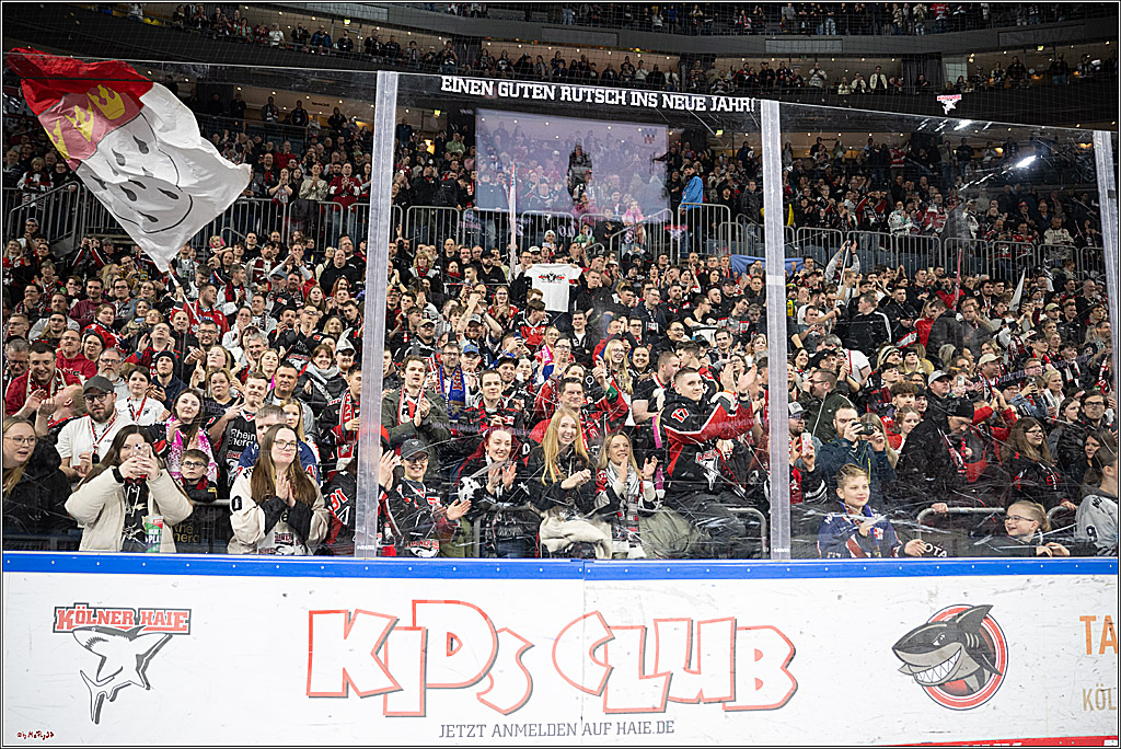PENNY DEL 1; Kölner Haie - Löwen Frankfurt; Köln, 30.12.2024