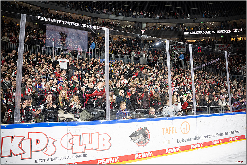 PENNY DEL 1; Kölner Haie - Löwen Frankfurt; Köln, 30.12.2024