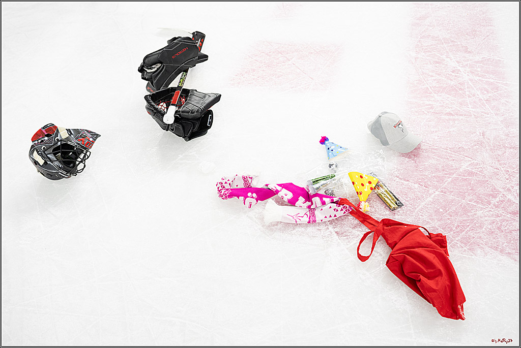 PENNY DEL 1; Kölner Haie - Löwen Frankfurt; Köln, 30.12.2024