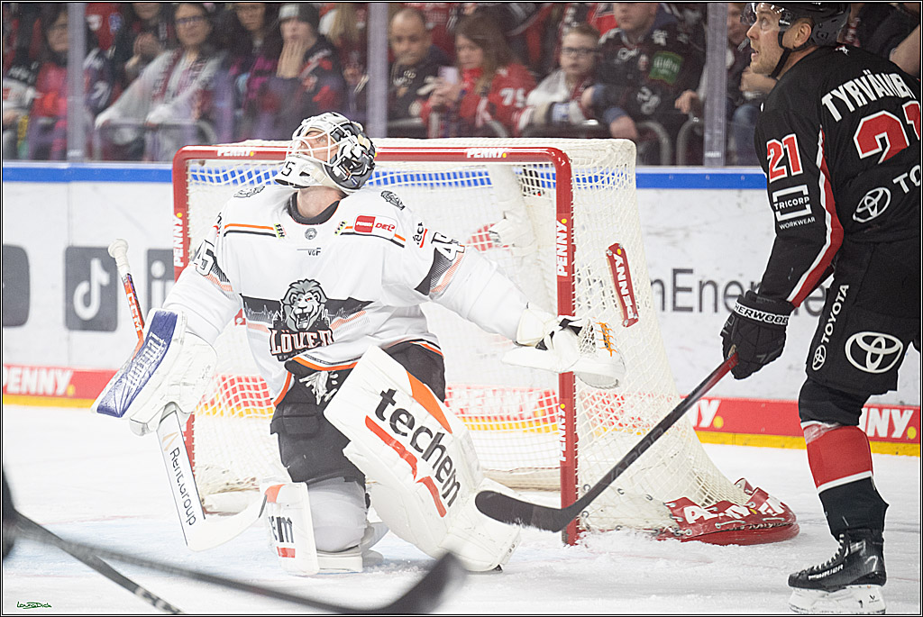 PENNY DEL; Koelner Haie- Loewen Frankfurt; Koeln, 30.12.2024