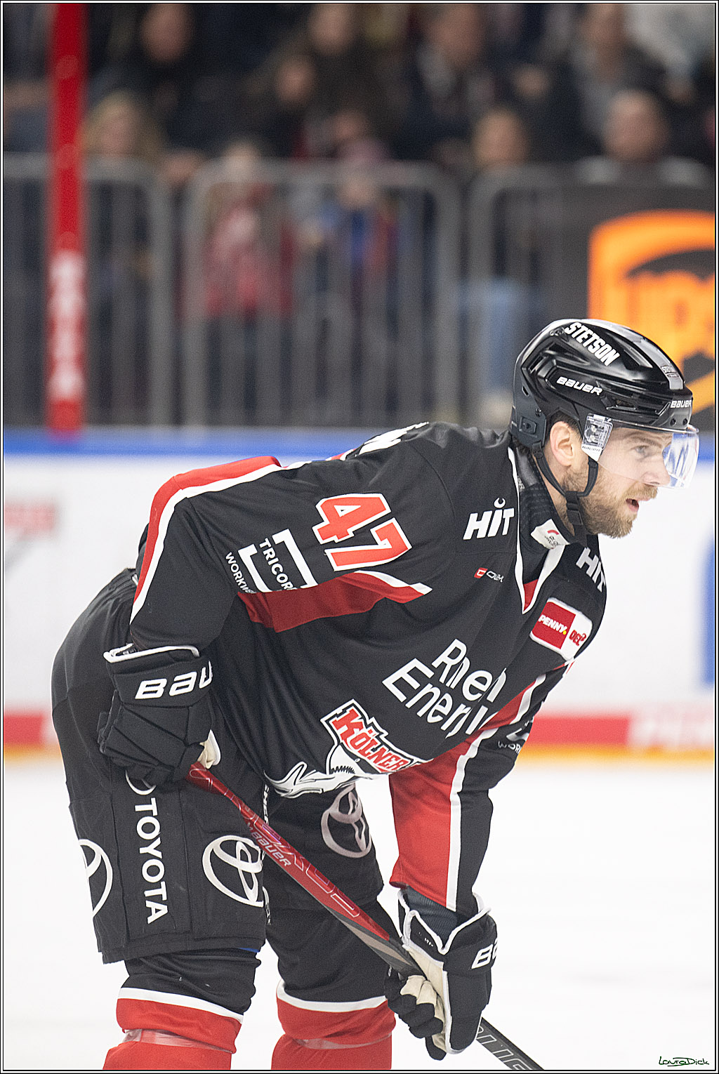 PENNY DEL; Koelner Haie- Loewen Frankfurt; Koeln, 30.12.2024