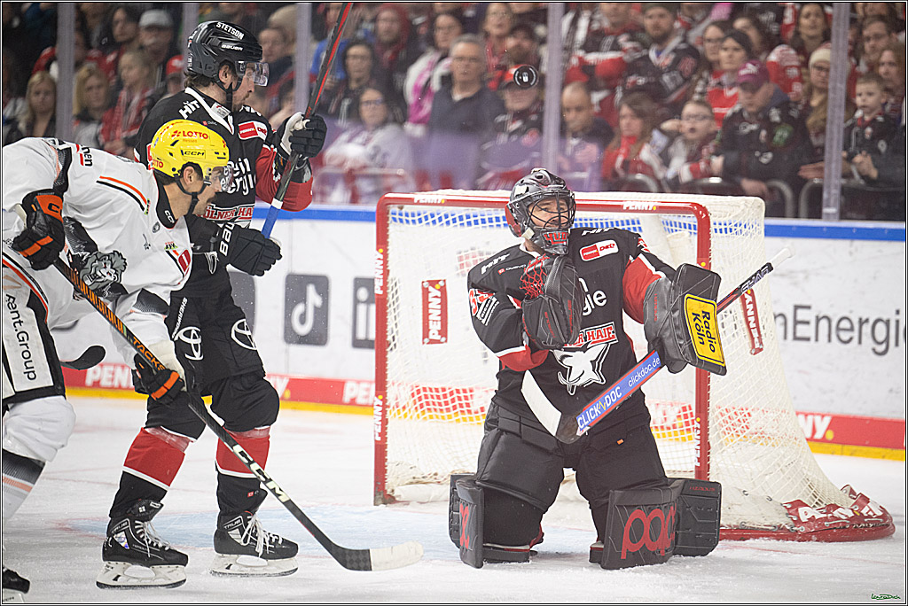 PENNY DEL; Koelner Haie- Loewen Frankfurt; Koeln, 30.12.2024