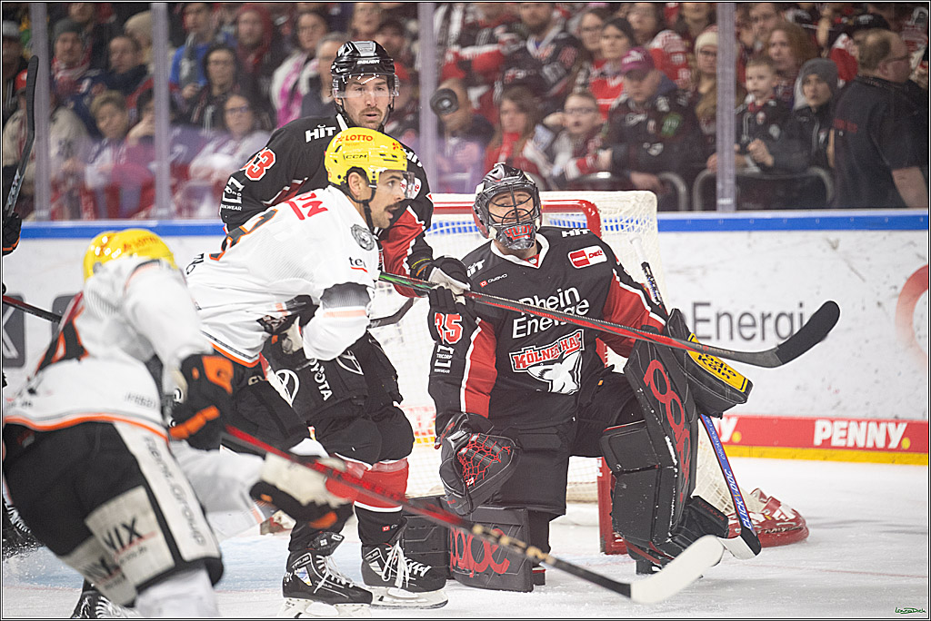 PENNY DEL; Koelner Haie- Loewen Frankfurt; Koeln, 30.12.2024